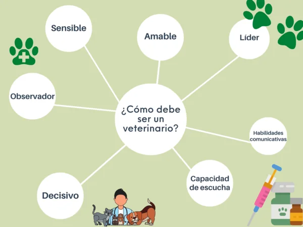 Cursos de Medicina Veterinaria